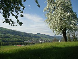 Der Frühling ist in Malters eingekehrt.
