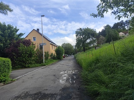 Chemin de l'Ermitage avant travaux