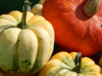 Déplacement du marché hebdomadaire