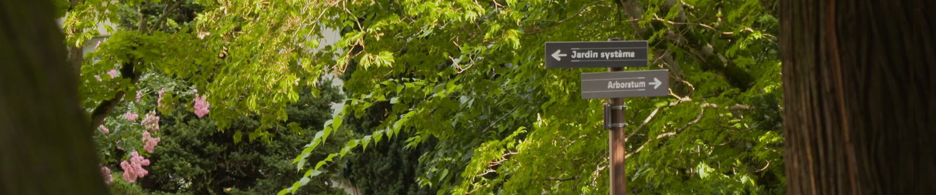 Jardin botanique