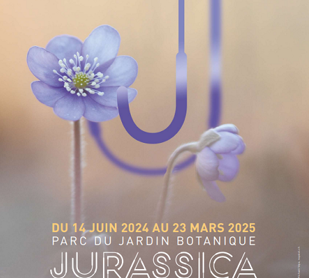 Exposition de photos Flore jurassienne