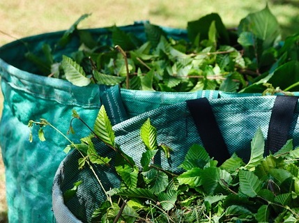 Déchets verts