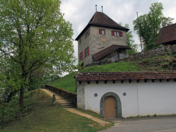 Kyburg-Buchegg