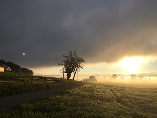 Aetingen in Richtung Kyburg