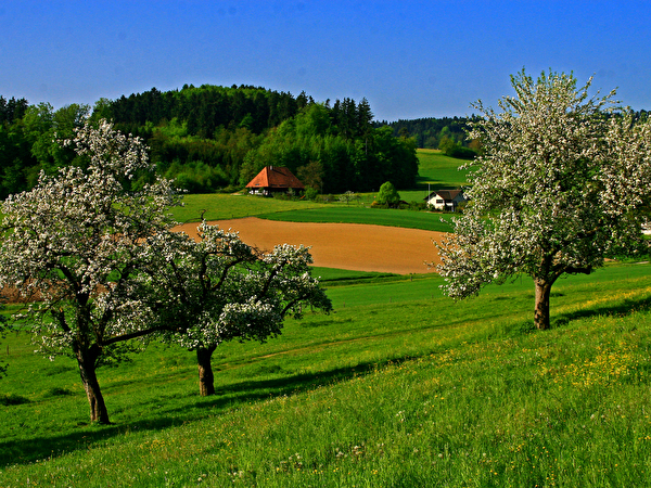 Küttigkofen