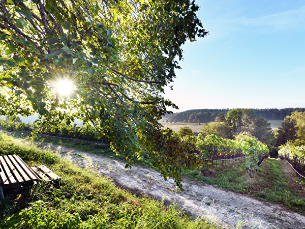 Bänkli mit Aussicht