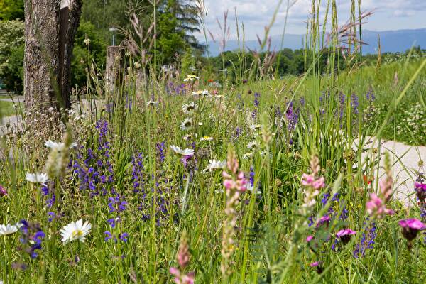 Biodiversität