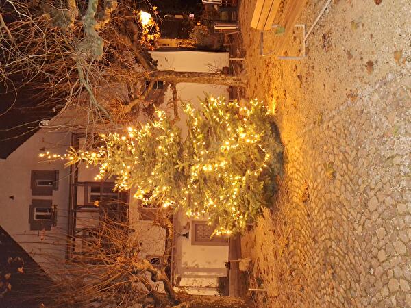 Weihnachtsbaum Dorfplatz Münchenstein