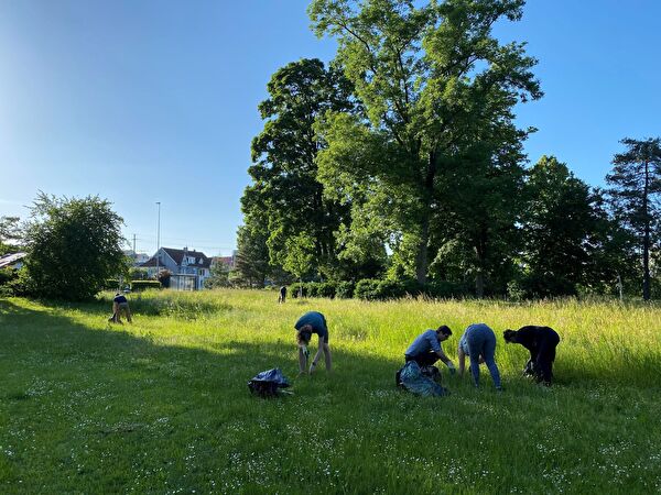 Impression Neophyteneinsatz Frühling 2025
