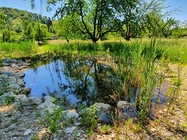 Projekt Obstgarten 