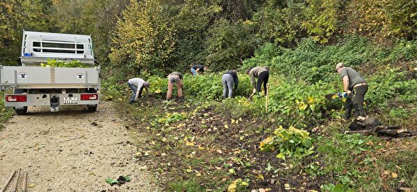 Freiwillige im Einsatz – in der Schlucht wurden Bestände des Japanischen Staudenknöterichs erfolgreich entfernt.  