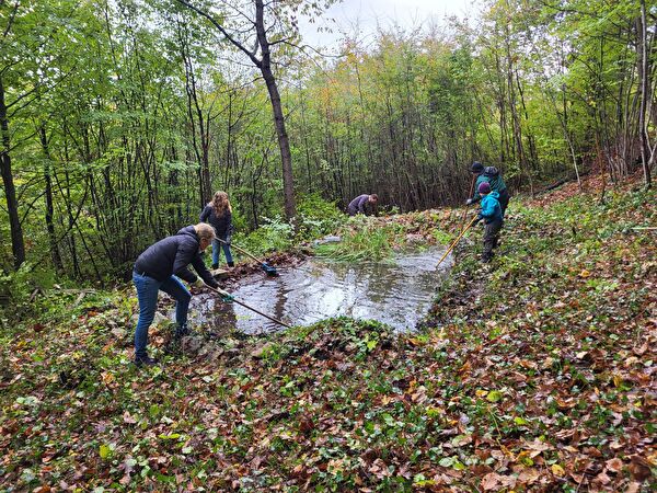 Kleingewässer im Fokus: Pflegearbeiten am Weiher Gmeiniholz anlässlich des Naturschutztags 2022.