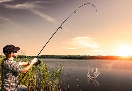 Themenbild zu Fischen, Jagen