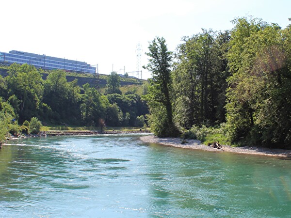 Aare zwischen Worblaufen und dem Löchligut.