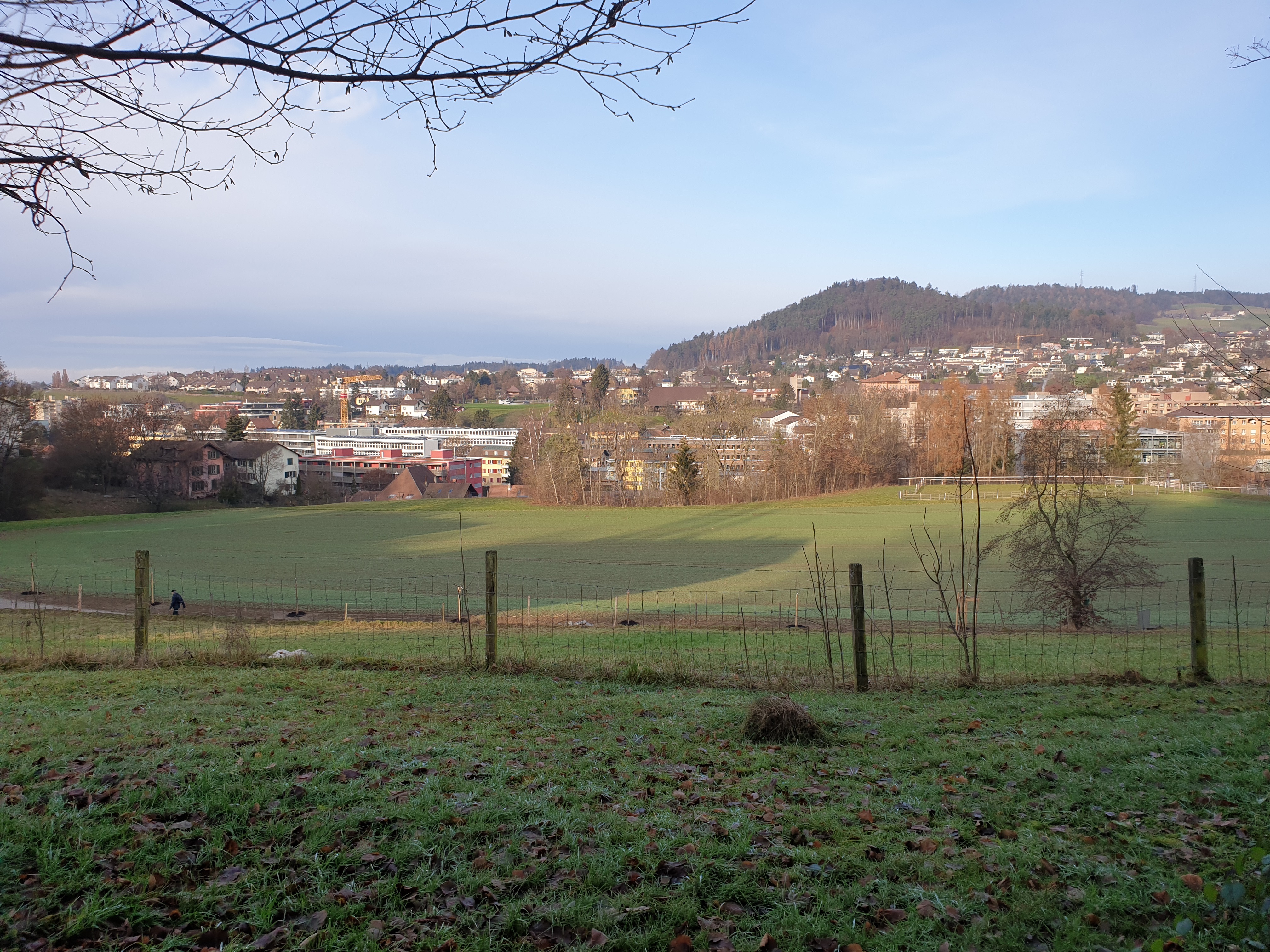 Aussicht auf Ittigen von Obereyfeldweg