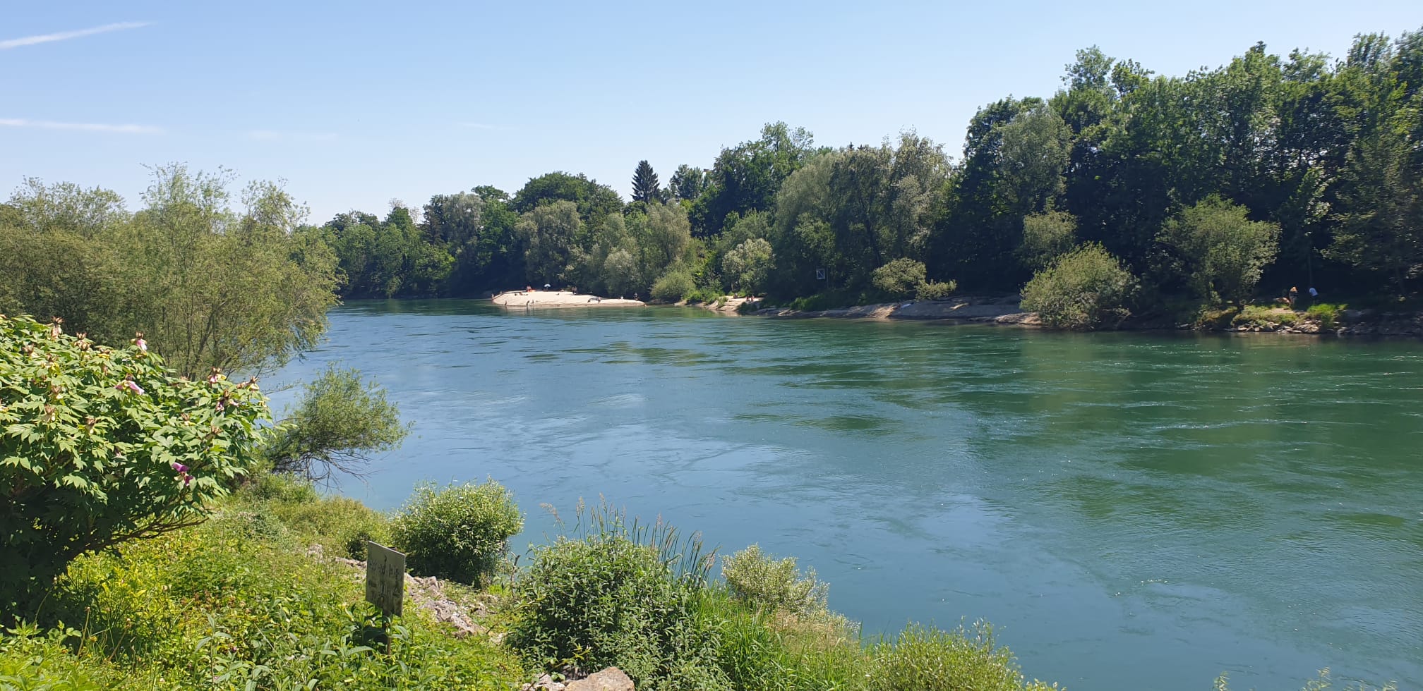 Aare bei Ruppoldingen