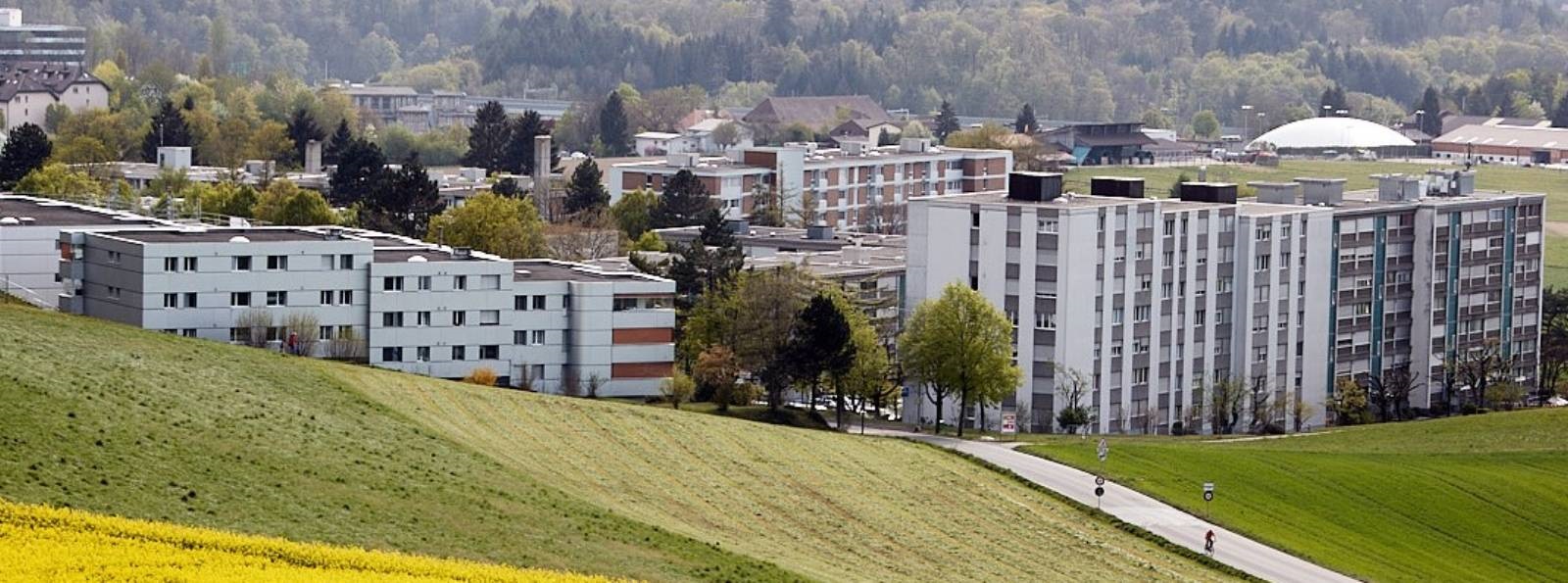 Quartier Kappelisacker