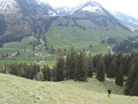 Diemtigtal
