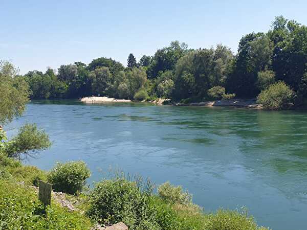 Aare bei Ruppoldingen