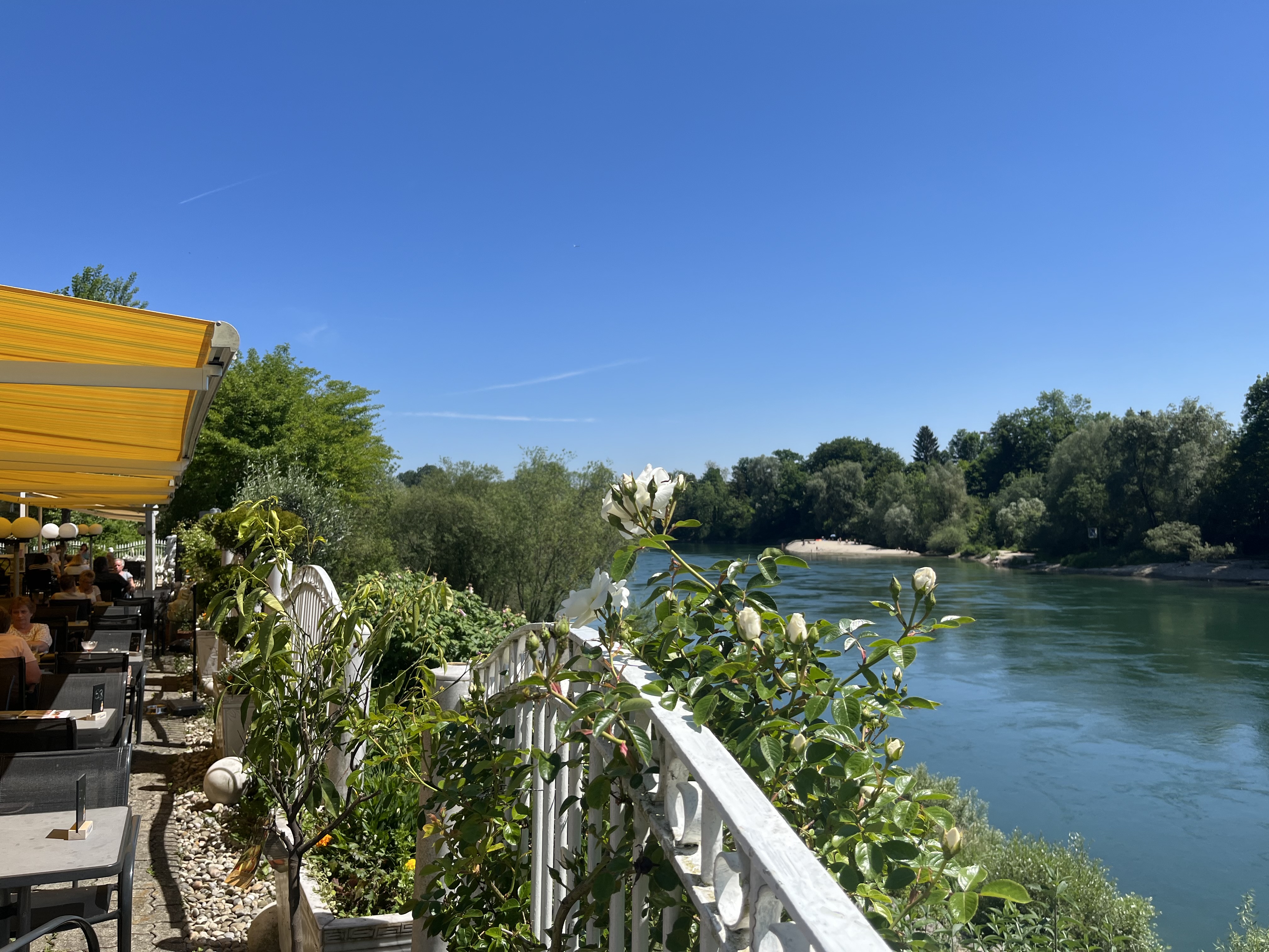 Ausblick beim Restaurant Aareblick