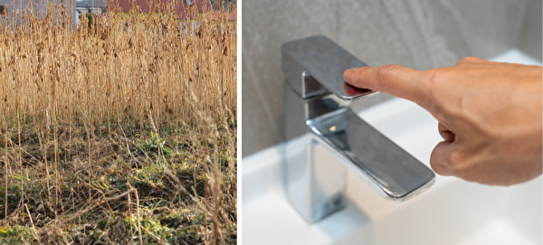 Links im Bild ist eine Wiese zu sehen, die fast komplett ausgetrocknet ist. Rechts schliesst eine Hand den Trinkwasserhahn zu.