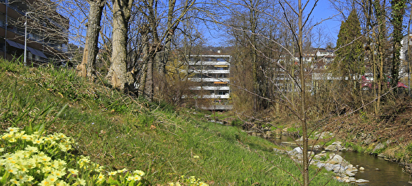 Lötschenbach im Frühling.