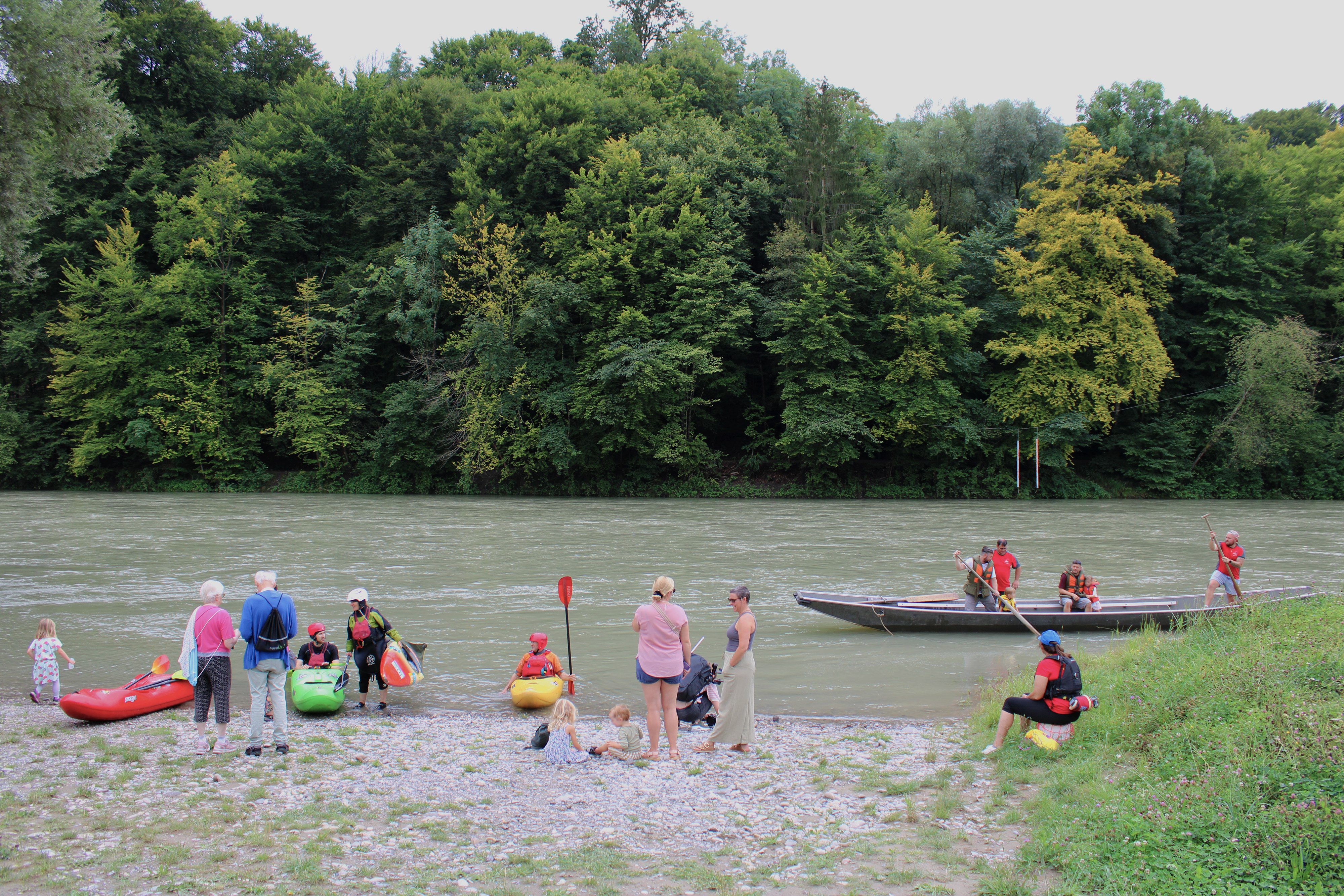 Weidlingfahrten auf der Aare.