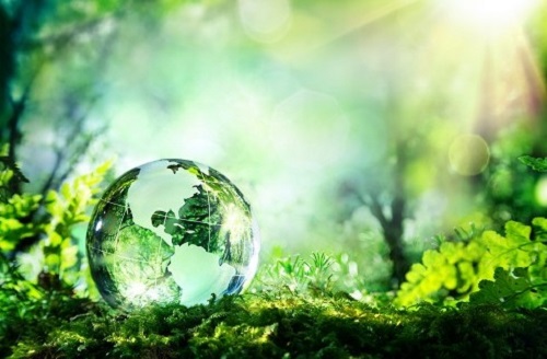 Themenbild zu Umwelt | Nachhaltigkeit