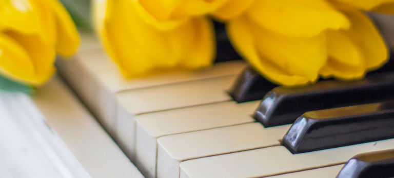 Gelbe Tulpen liegen auf den Tasten eines Klaviers.