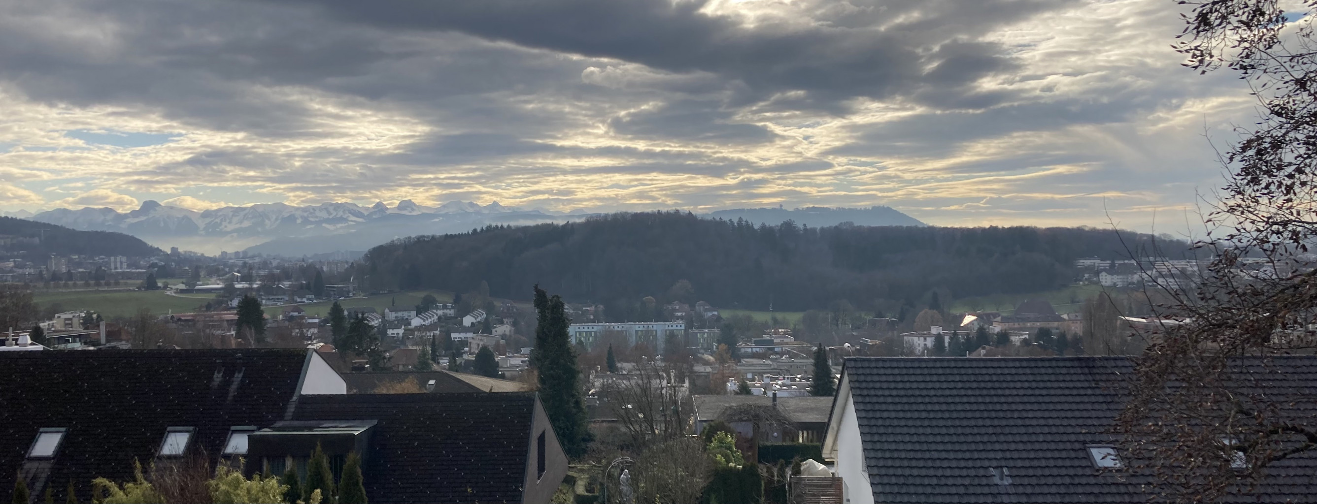 Blick Richtung Schermenwald