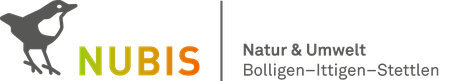 Logo Nubis.