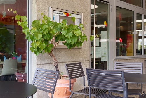 Themenbild zu Quartierzentrum