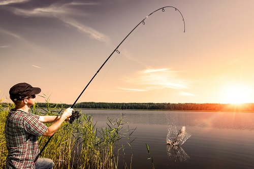 Themenbild zu Fischen, Jagen