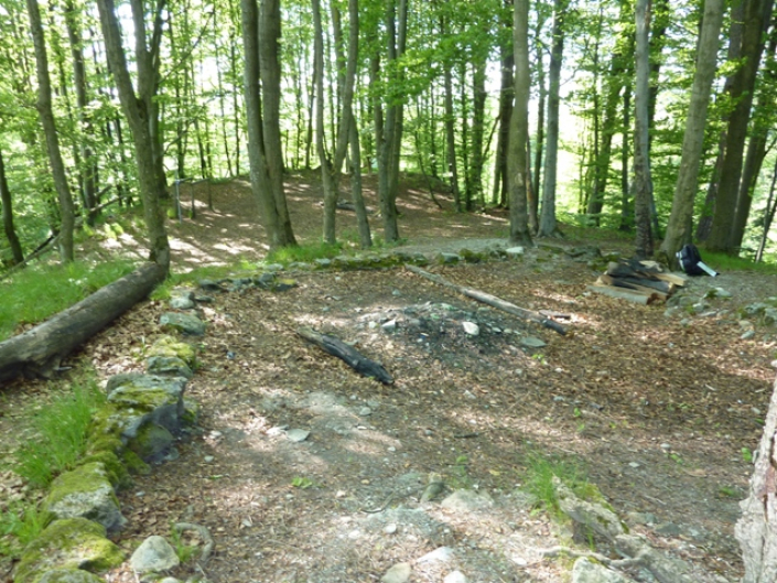 Grundmauern Schwandiburg