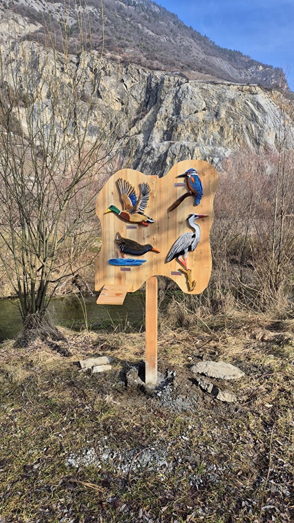 Sentier des oiseaux de Saillon