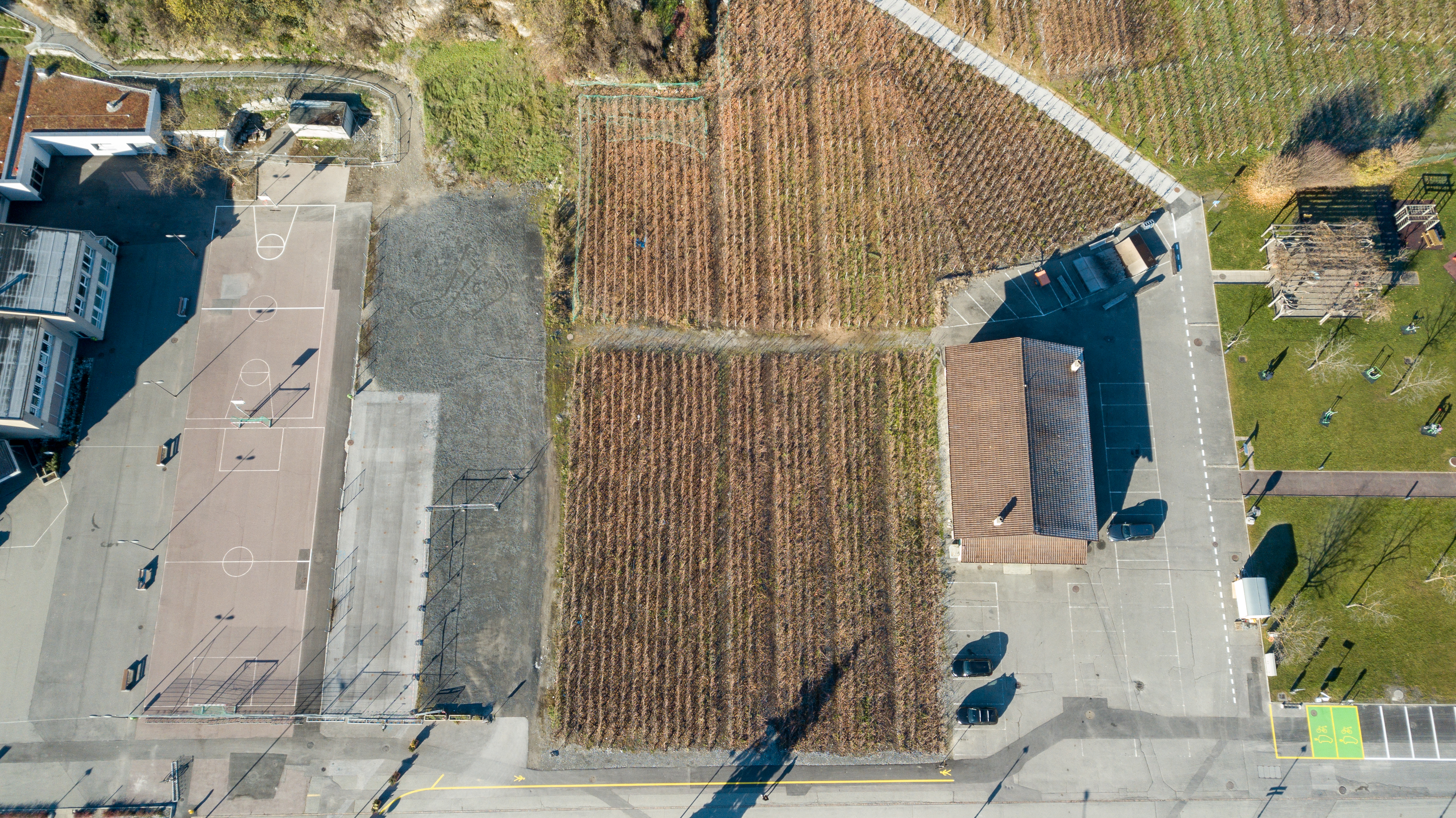Parcelle vue du ciel avant l'arrachage des vignes