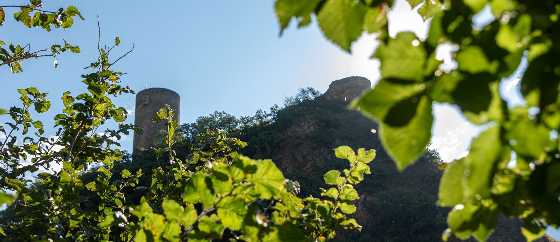 Paysage Saillon avec tour