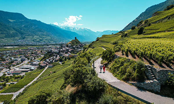 Balade découverte sur les traces du passé