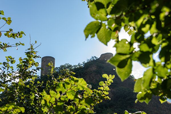 Paysage avec tour Saillon