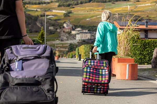 Touristes avec des valises