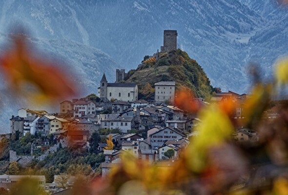 Balade découverte d'automne