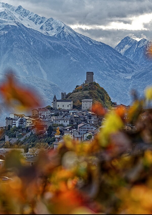 Balade découverte d'automne
