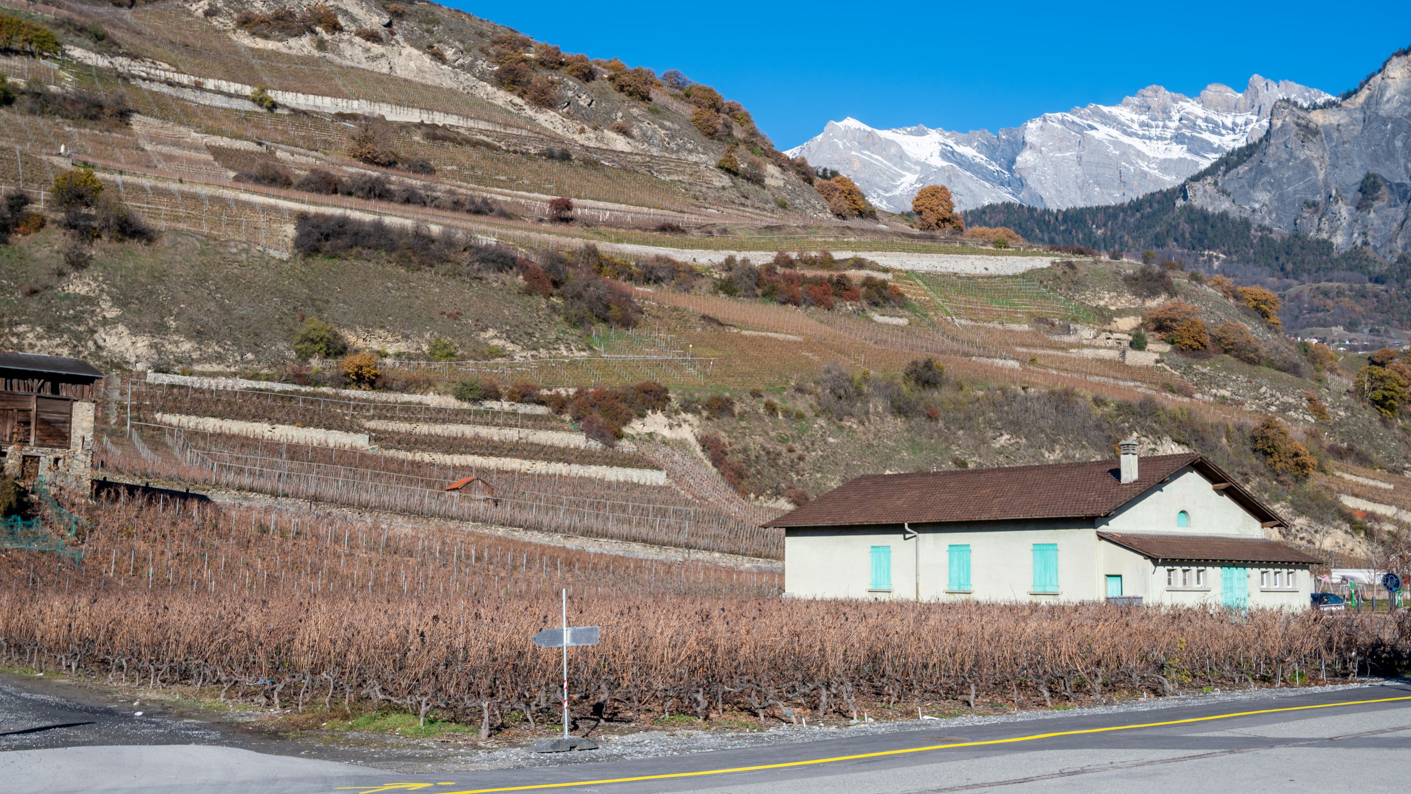 Parcelle avant l'arrachage des vignes