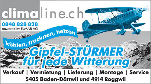 Firmenlogo