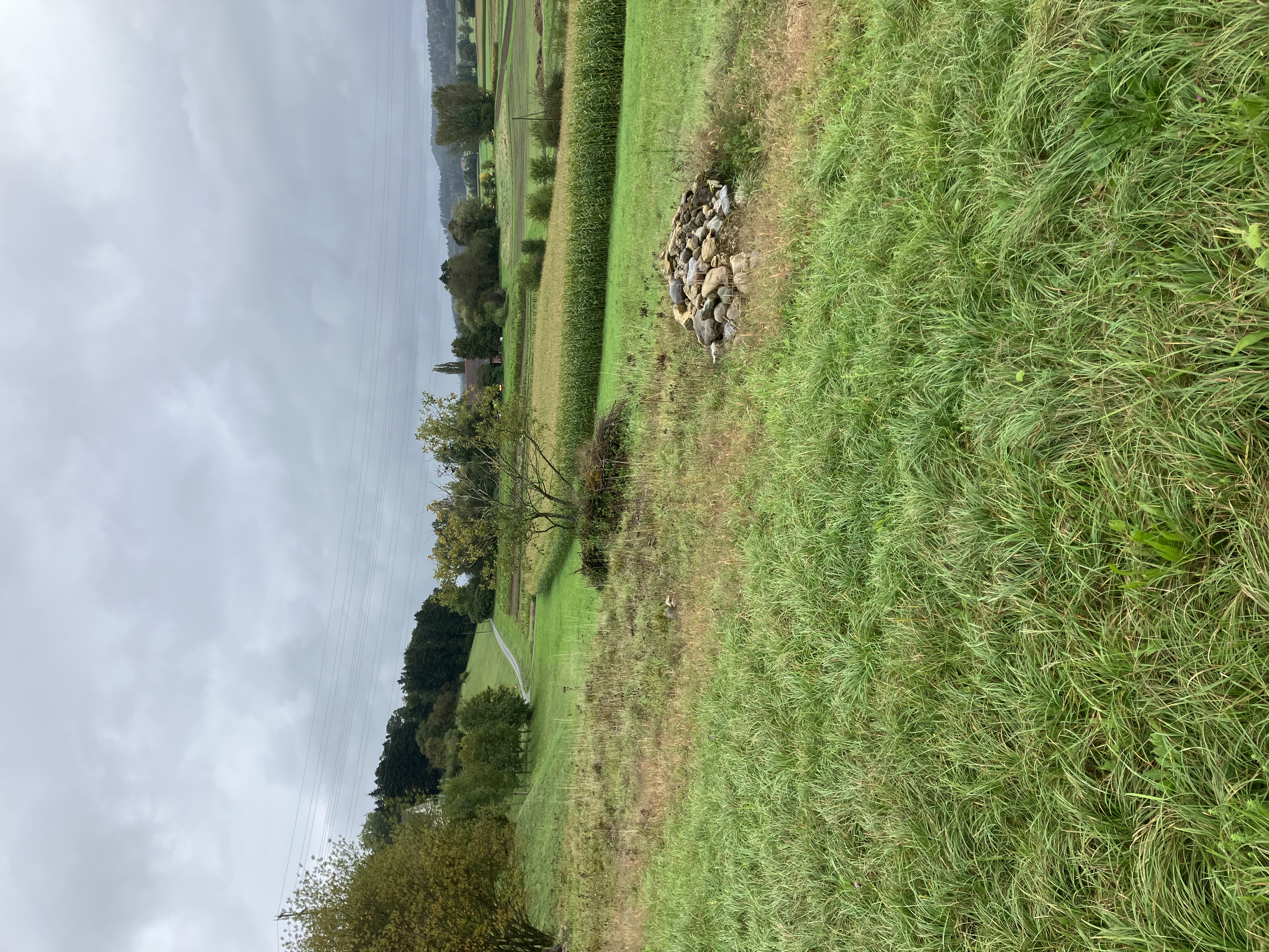 Rundgang Biodiversität