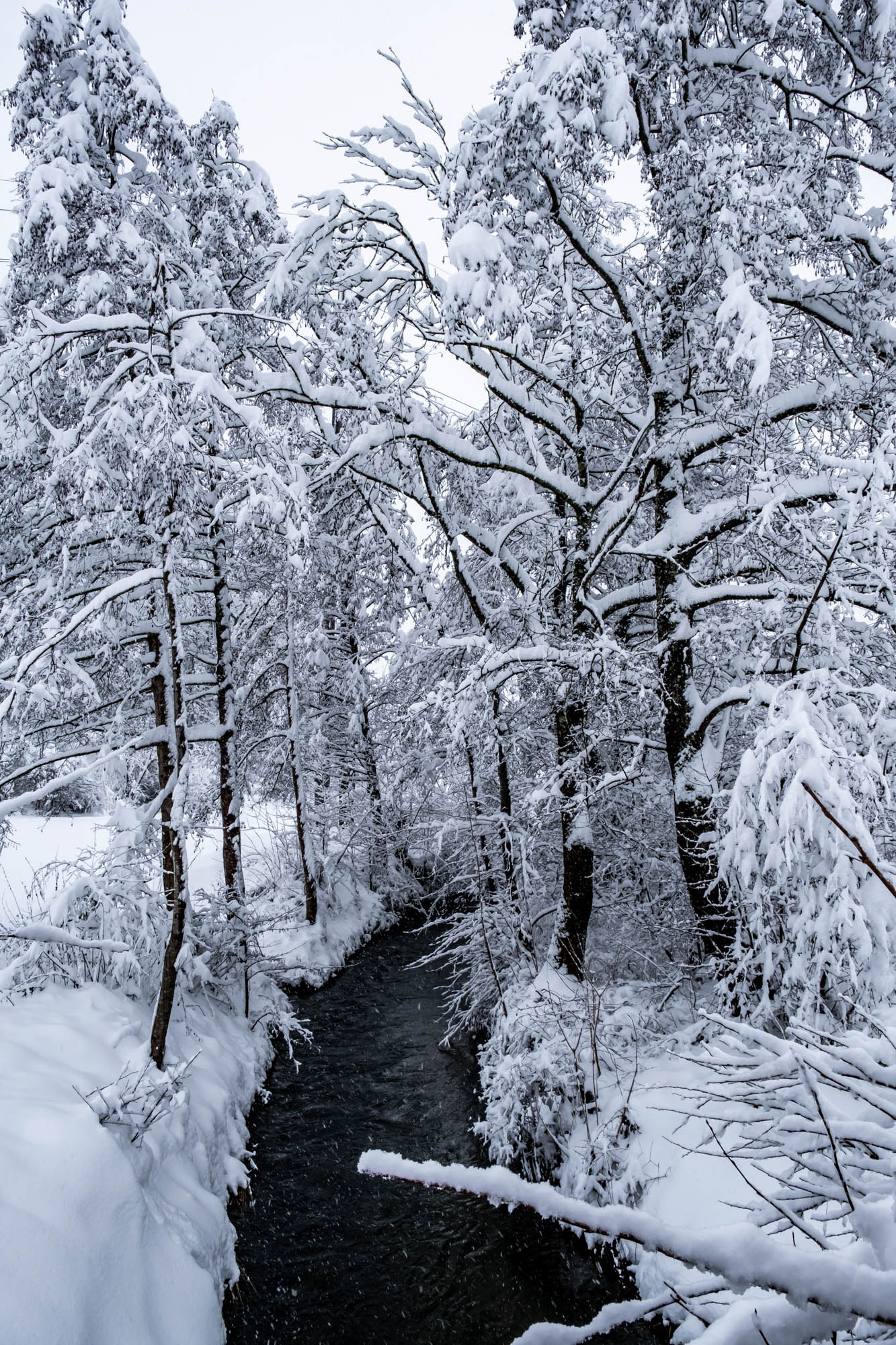 Winterzauber im Dorf