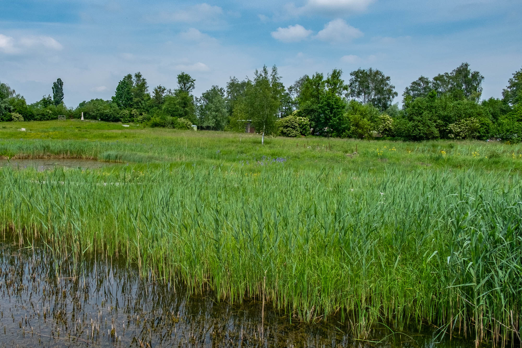 Natur und Landschaft