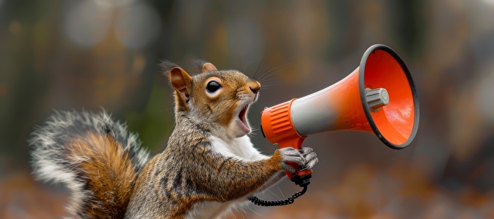 Bild eines Einhörnchens mit einem Megaphon
