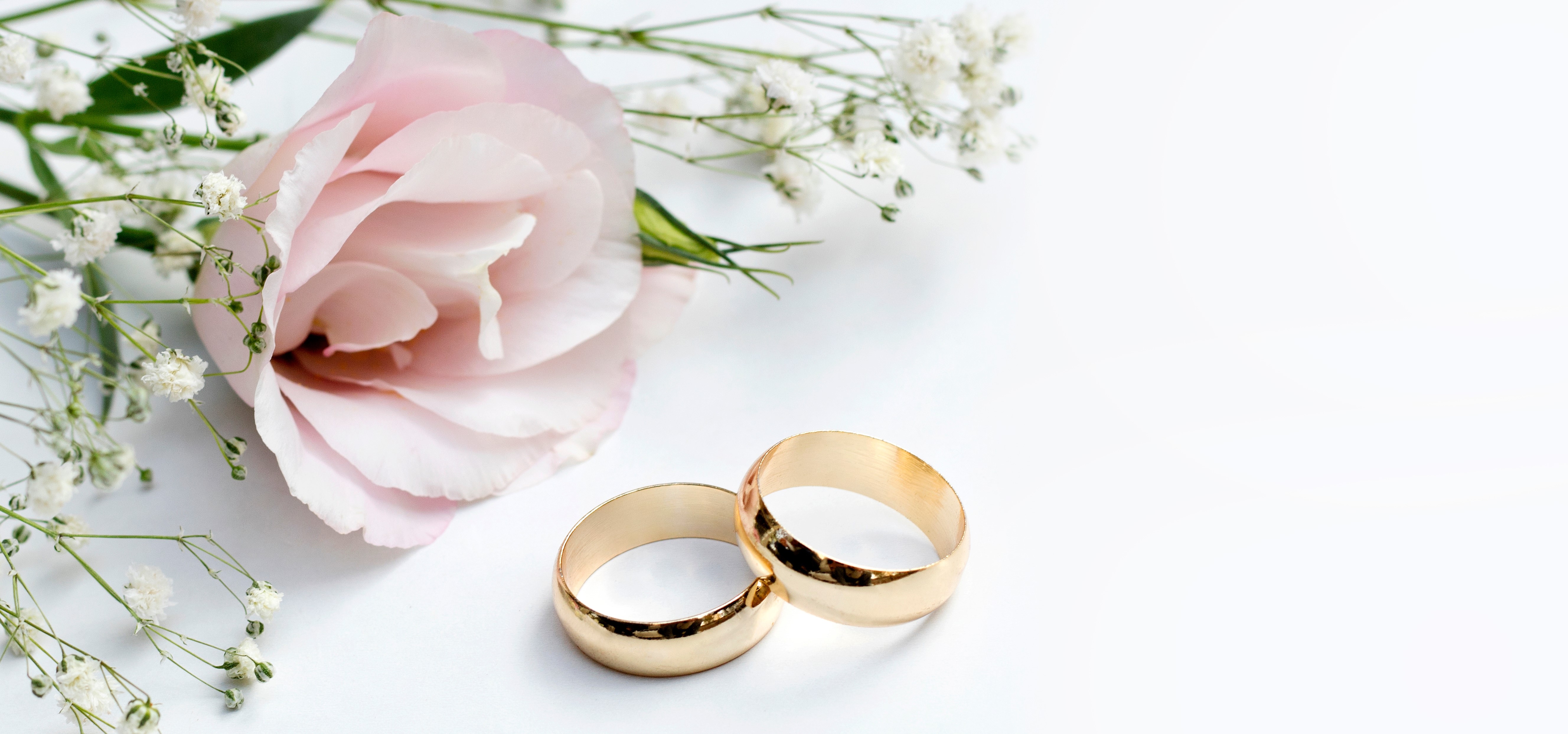 Bild mit einer Rose und zwei Eheringen