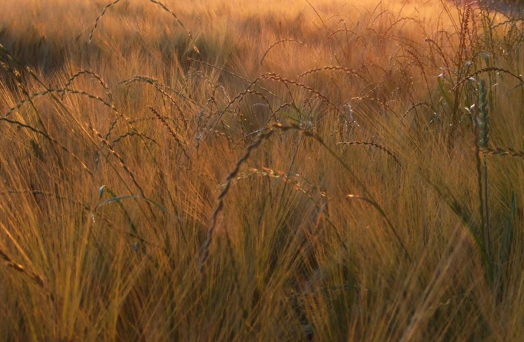 Natur und Landschaft
